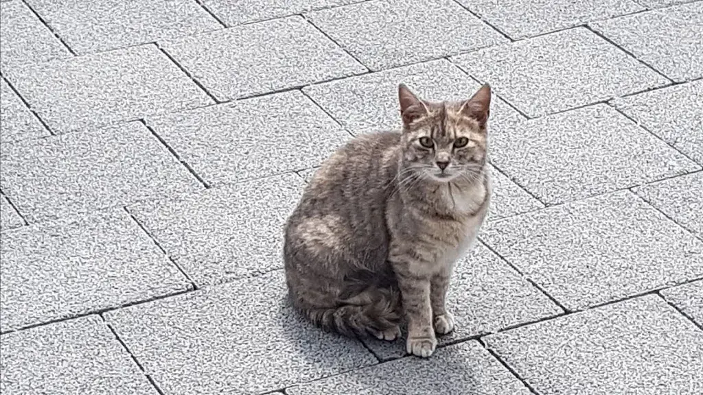 Annegret Gerzner_Holzwäge-Beizli_Romoos_Bewertung