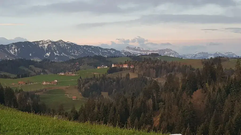 Mathew Authers_Rose-Beizli, Schwesteregg_Romoos_Bewertung