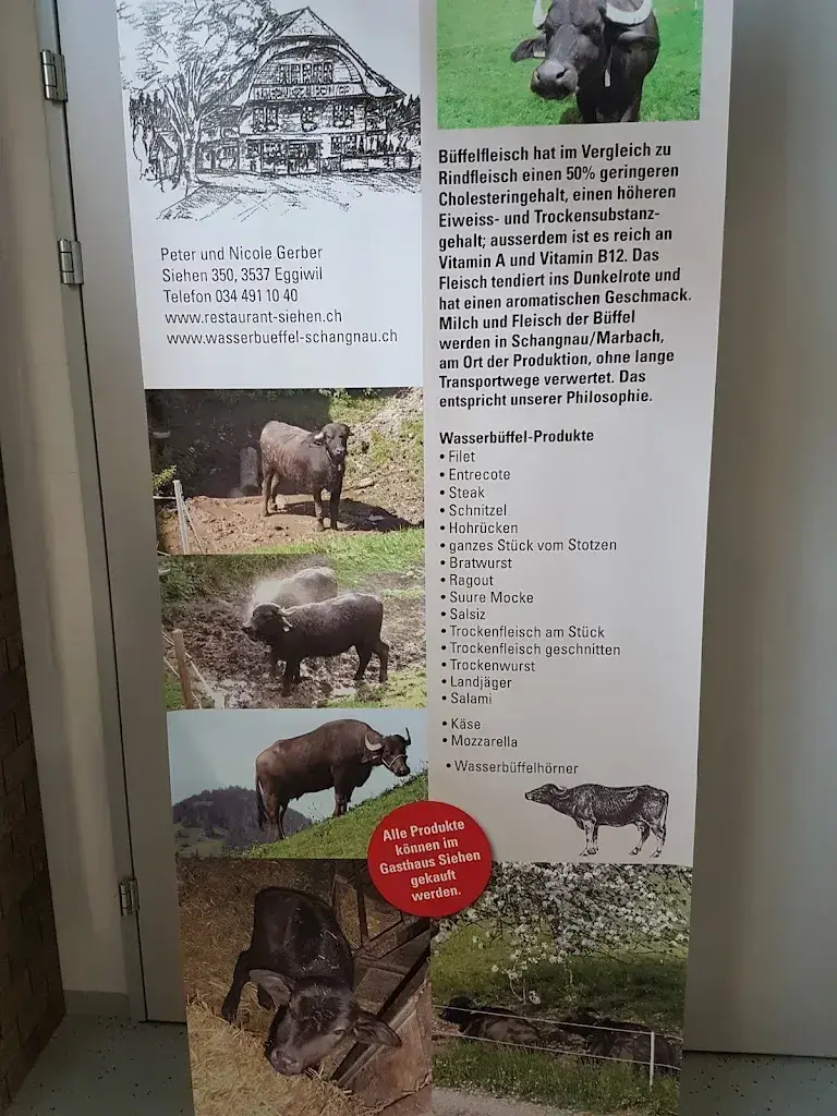 Bergkäserei Marbach AG | Erlebniskäserei mit Verkaufsladen und Bistro / Restaurant restaurant in Marbach