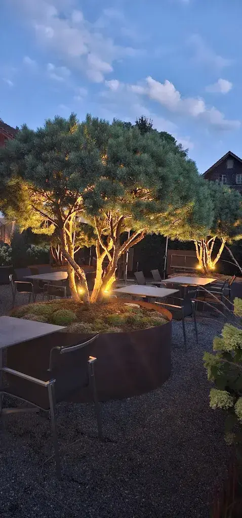 Nadine Nigg_OMNIA Dierikon_Dierikon_avis