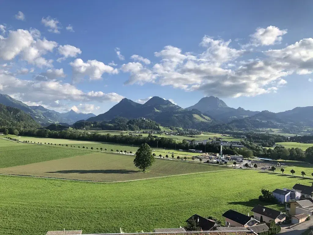 C Montoro_Les Montagnards_Broc_review