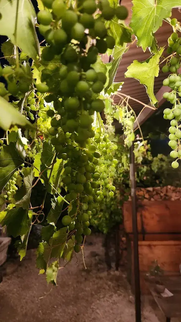 Roman Tulchinski_Restaurant Rosstall Mehr Raum für Genuss_Emmen_review