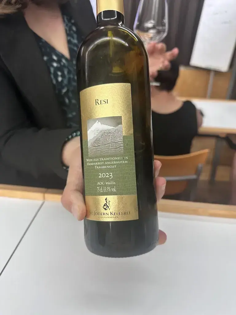 Michael X_Château de Villa_Sierre_review