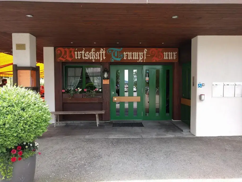 Artur Schur_Trumpf-Buur_Ebikon_Bewertung