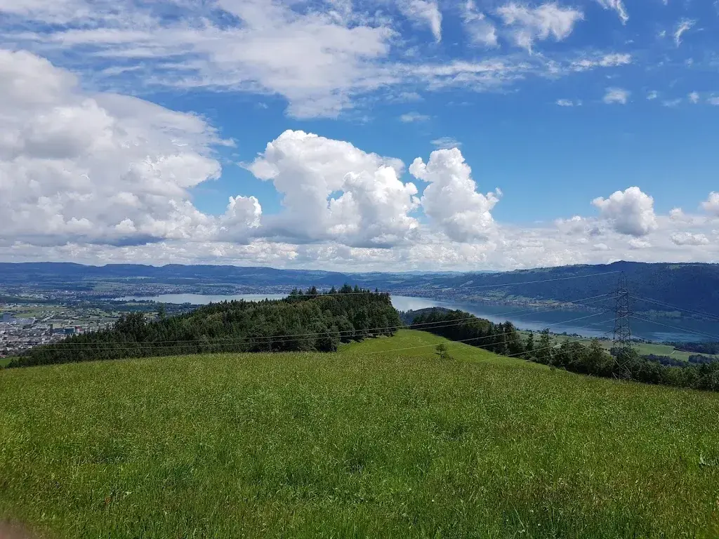 Anthony Bello_Gasthaus Michaelskreuz_Root_review