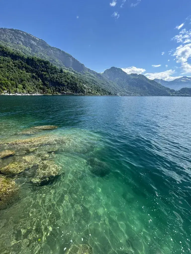 Jannis Koasidis_Seerestaurant Lützelau_Weggis_Bewertung