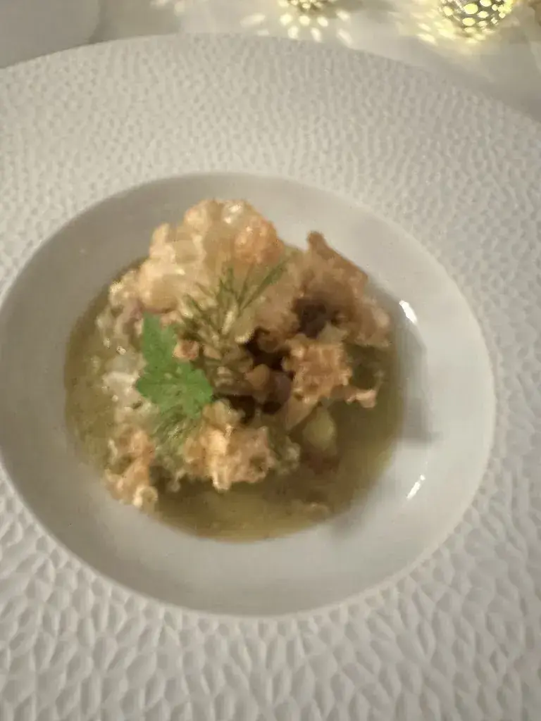 melih dogan_Equo 1706_Weggis_avis