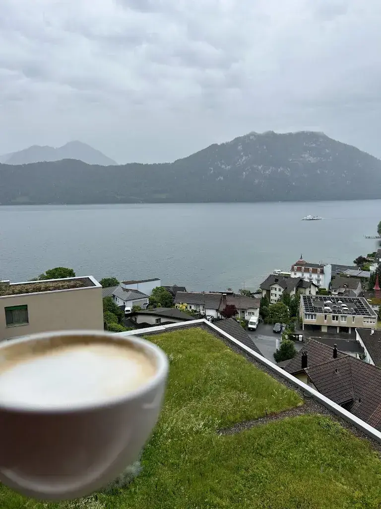 Kristen Moore_Hotel Alpenblick Weggis_Weggis_avis