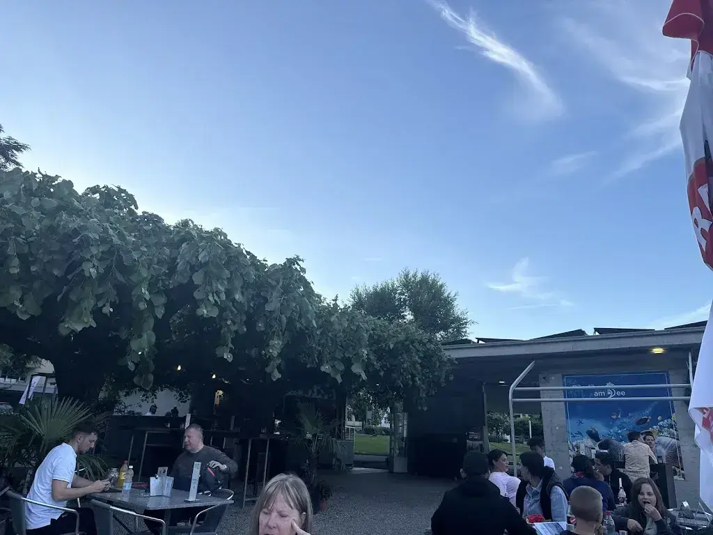 Devin Elliott_Rösslibar am See_Hergiswil_avis