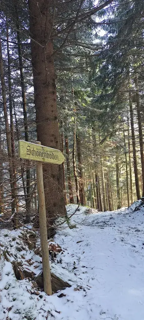 Daniela Kneubühler_Schönenbodenhütte_Hergiswil_review