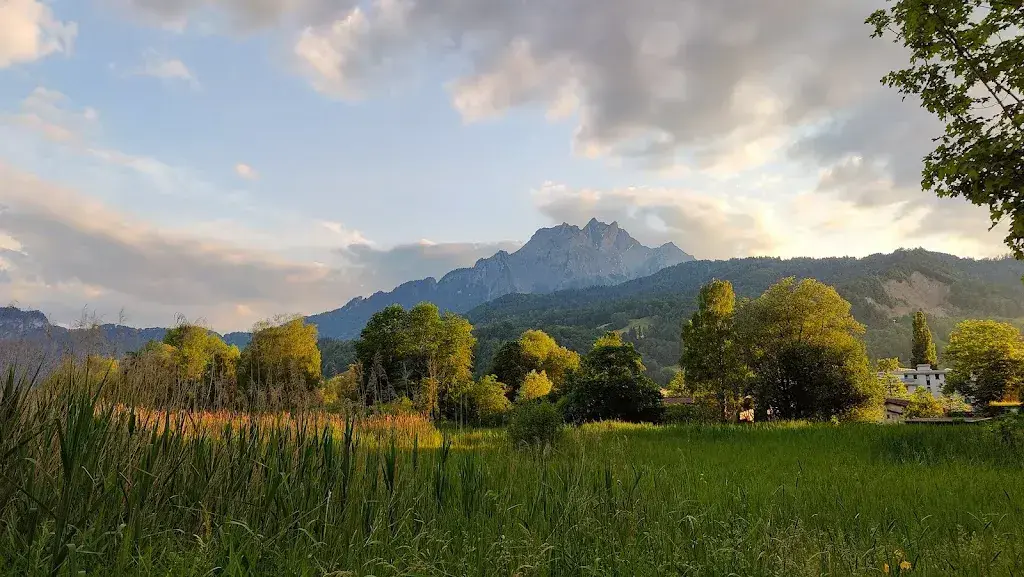 Kalpak_Seehotel Sternen Horw_Horw_review