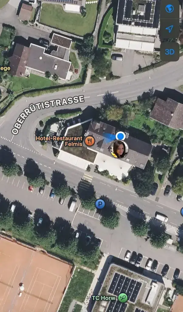 Vinzon Lee_Hotel-Restaurant Felmis_Horw_recensione