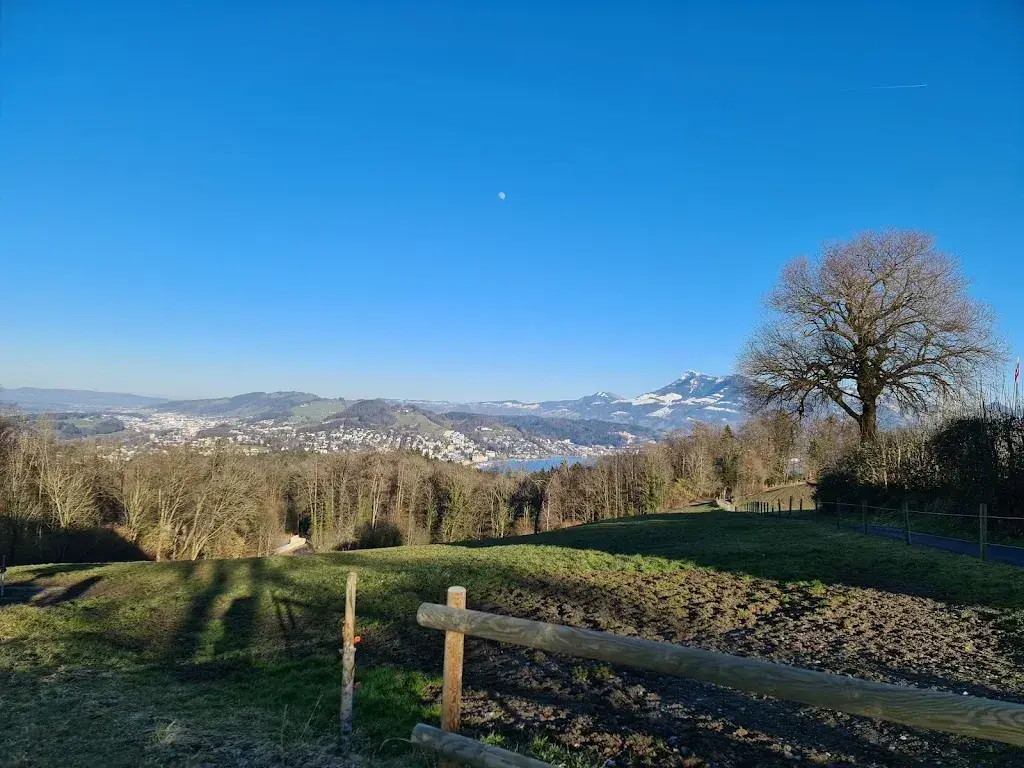 Arthi Bucher_Schwyzerhüsli_Kriens_review