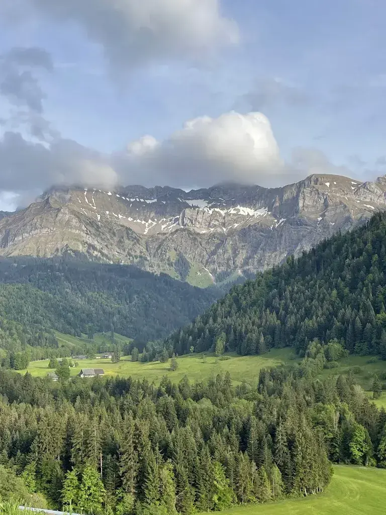 Peter Snelling_Restaurant Eigenthalerhof_Eigenthal_avis