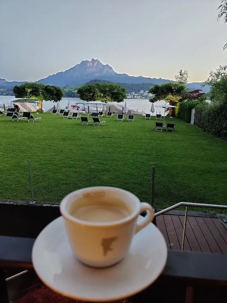 Menu_Restaurant HERMITAGE, Luzern_Luzern_image_9