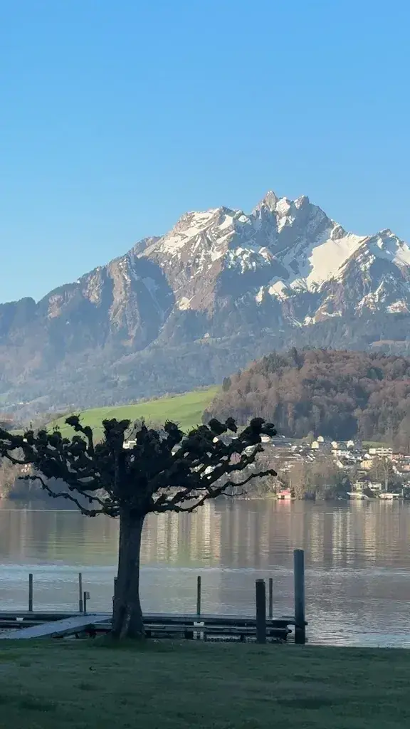 Dr Mukesh_Restaurant HERMITAGE, Luzern_Luzern_review