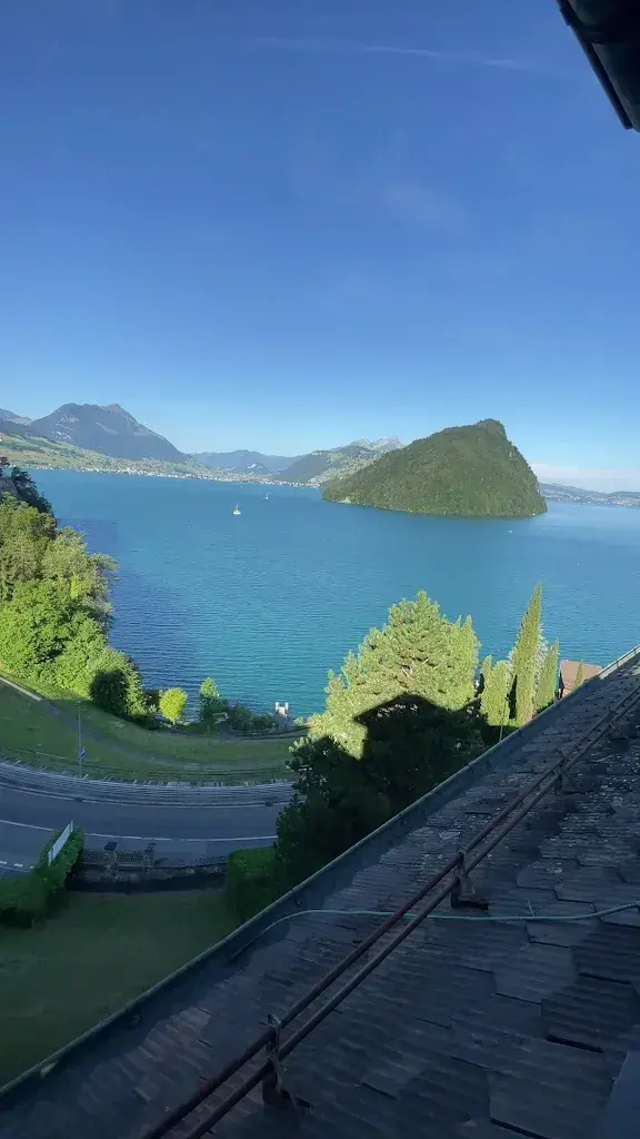 Carlos Pina_See- und Seminarhotel FloraAlpina_Vitznau_review