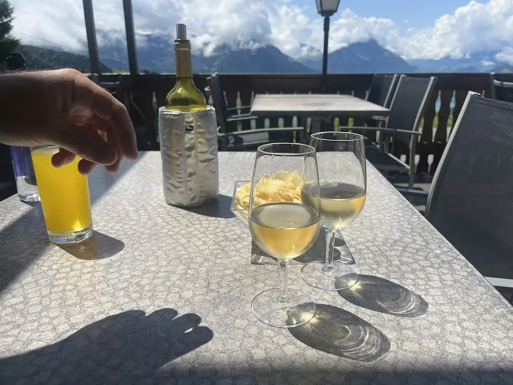 Erica Chandler_Hinterbergen_Vitznau_review