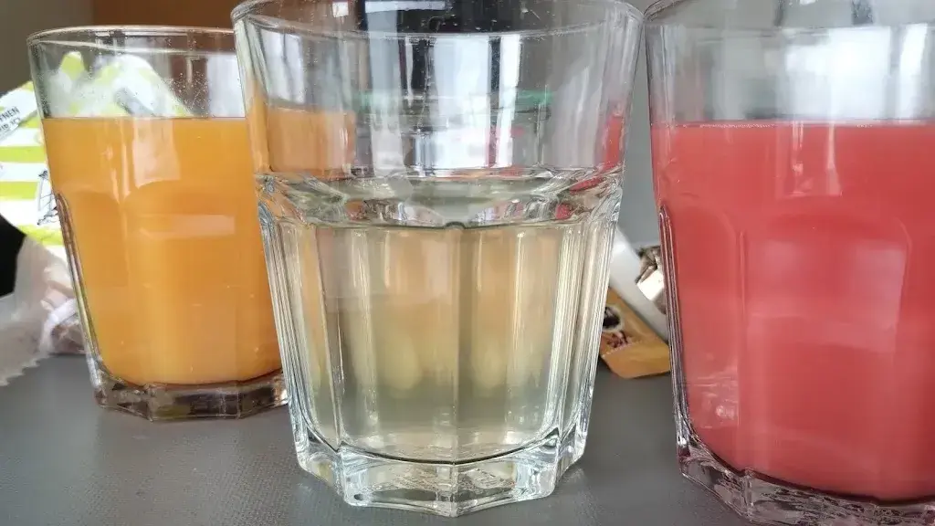 Lisa Ruggieri_Hotel Rigi Kaltbad_Rigi Kaltbad_avis