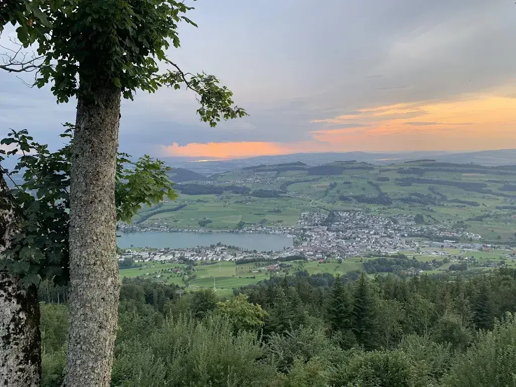 Rainaldo Kroesen_Hotel-Restaurant Rigi-Seebodenalp_Küssnacht_review