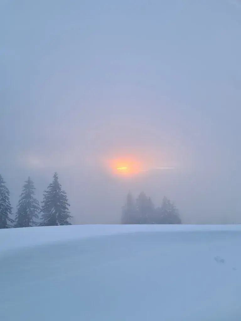 Andra_Chalet Schild_Rigi Kaltbad_review