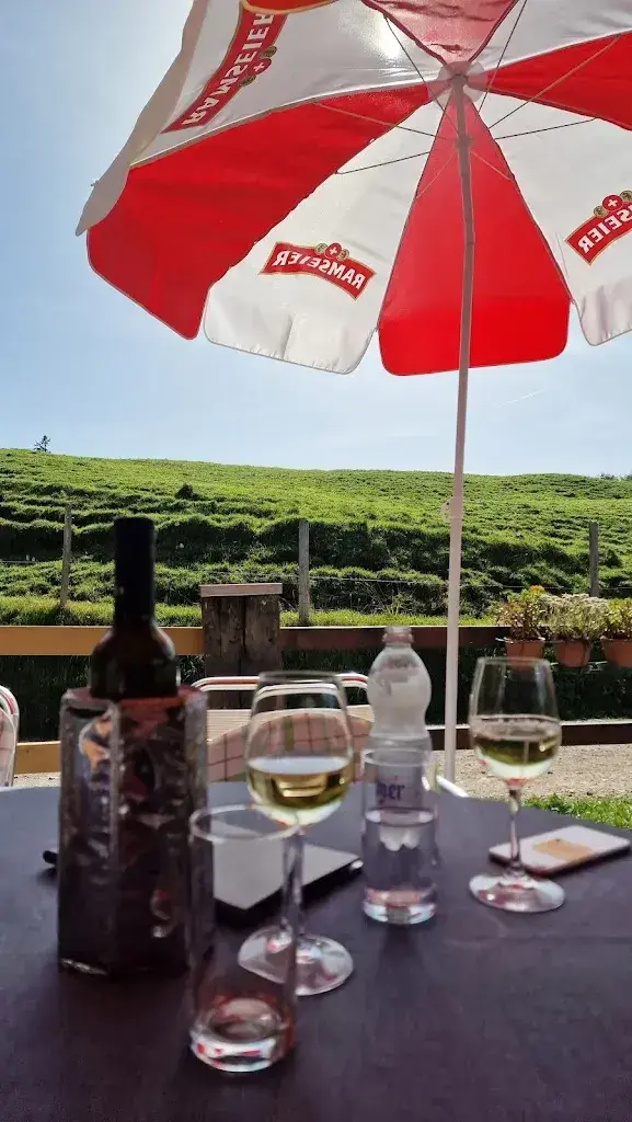 Petra Pfiffner_Chalet Schild_Rigi Kaltbad_review