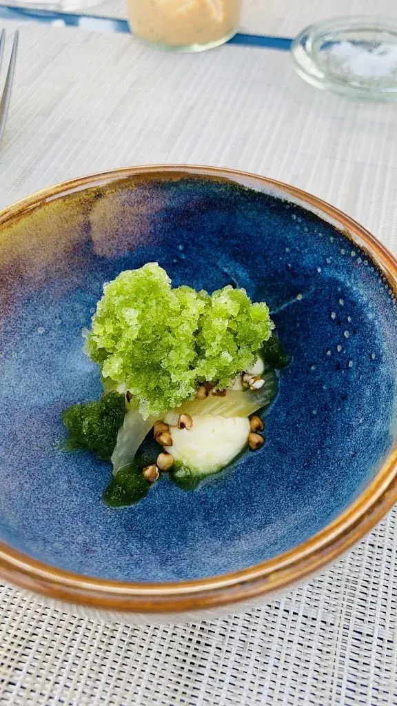 Kev Yz_OX'n_Schenkon_review