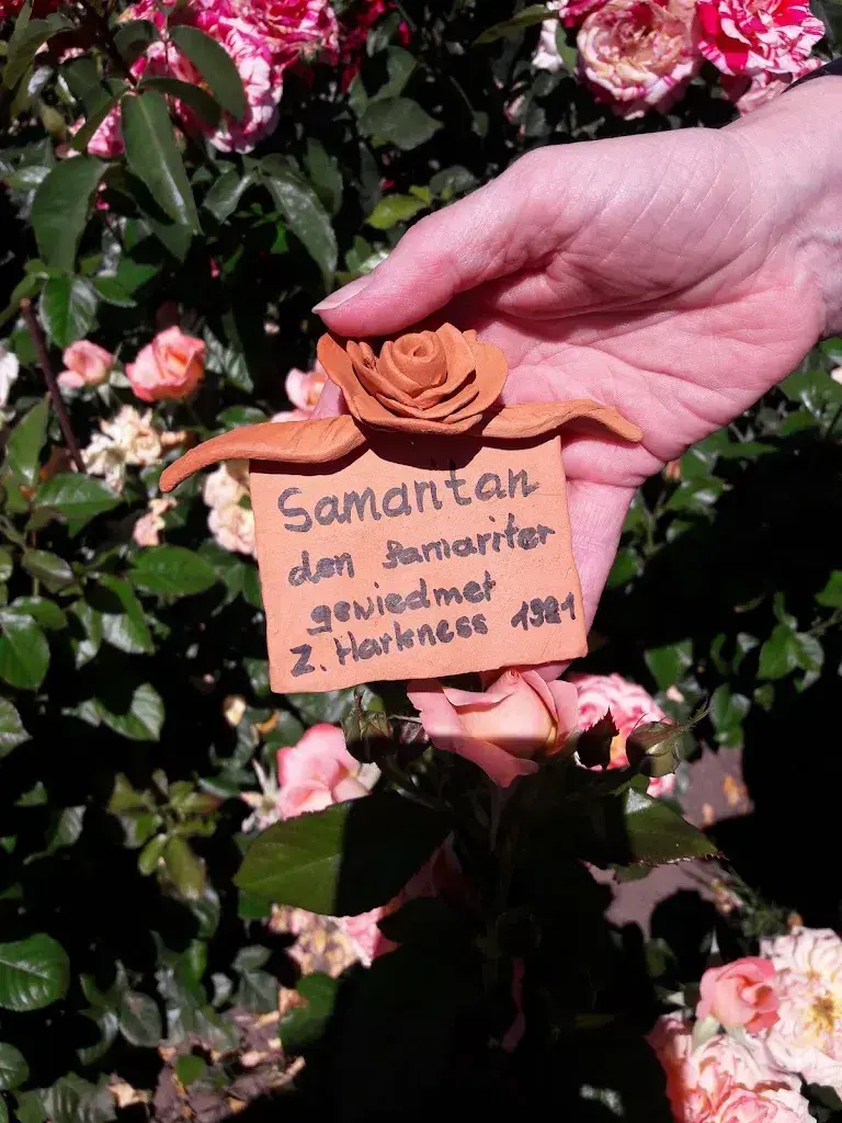 Rosemarie Maurer_Kollerhuus_Schenkon_review