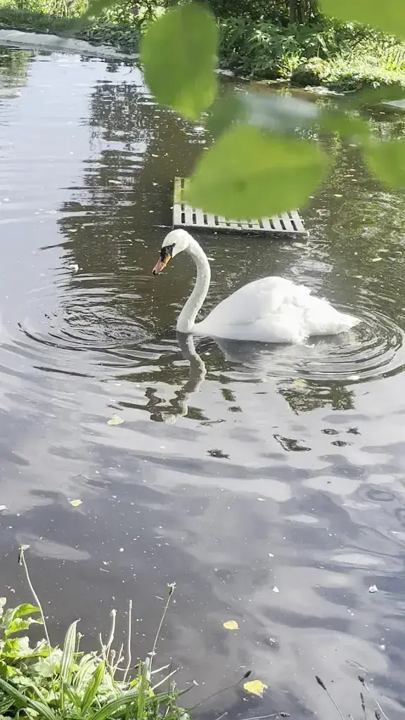 Chivonne Gao_Kollerhuus_Schenkon_review