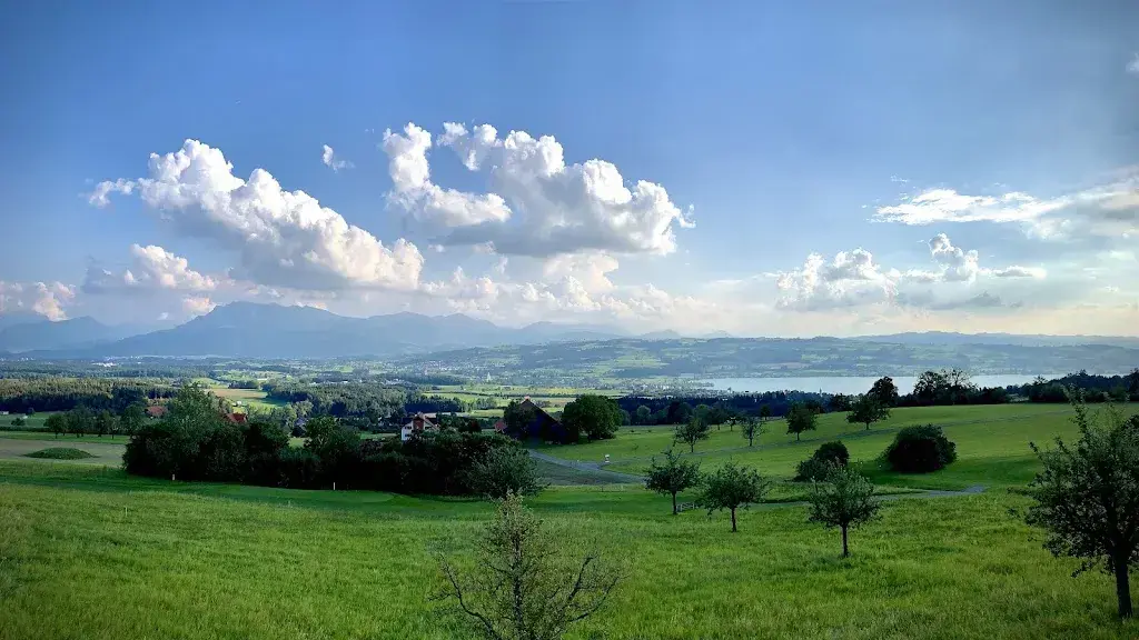 Michael Muther_Restaurant Le Club_Hildisrieden_review