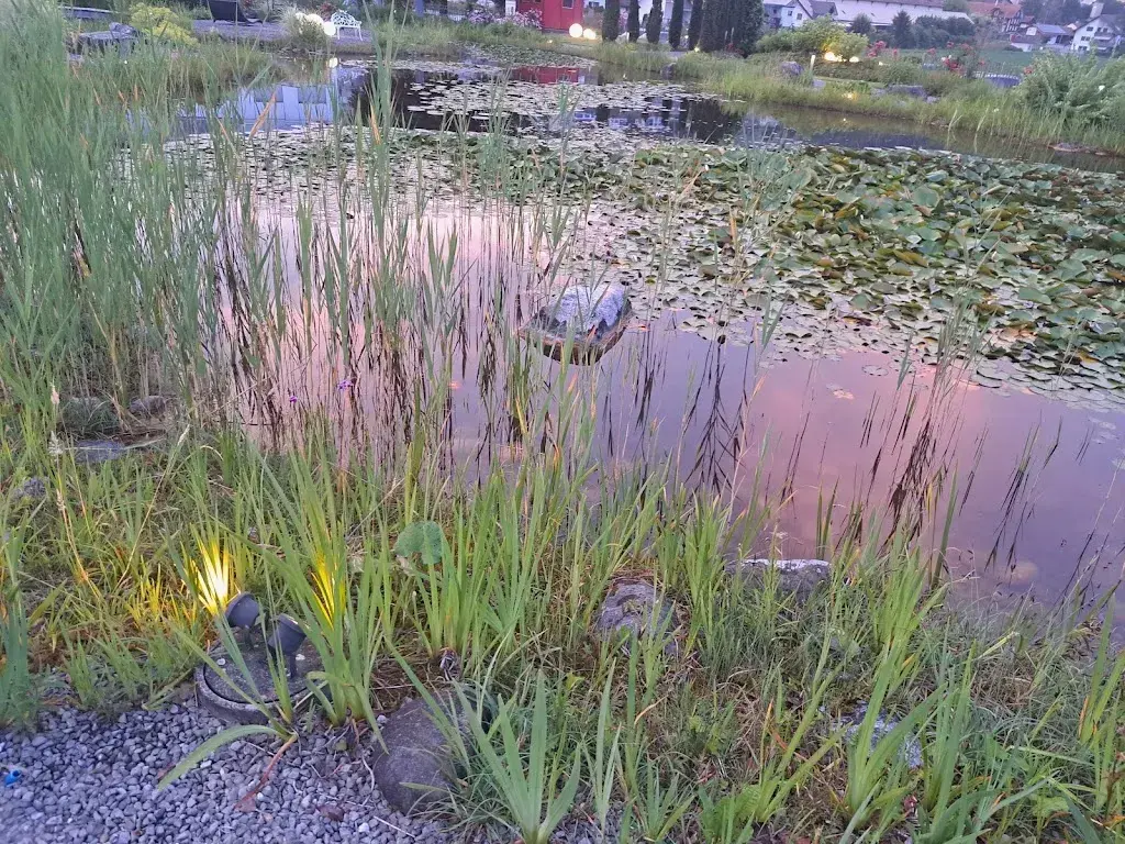 Sandra W_Mangerie_Egolzwil_review