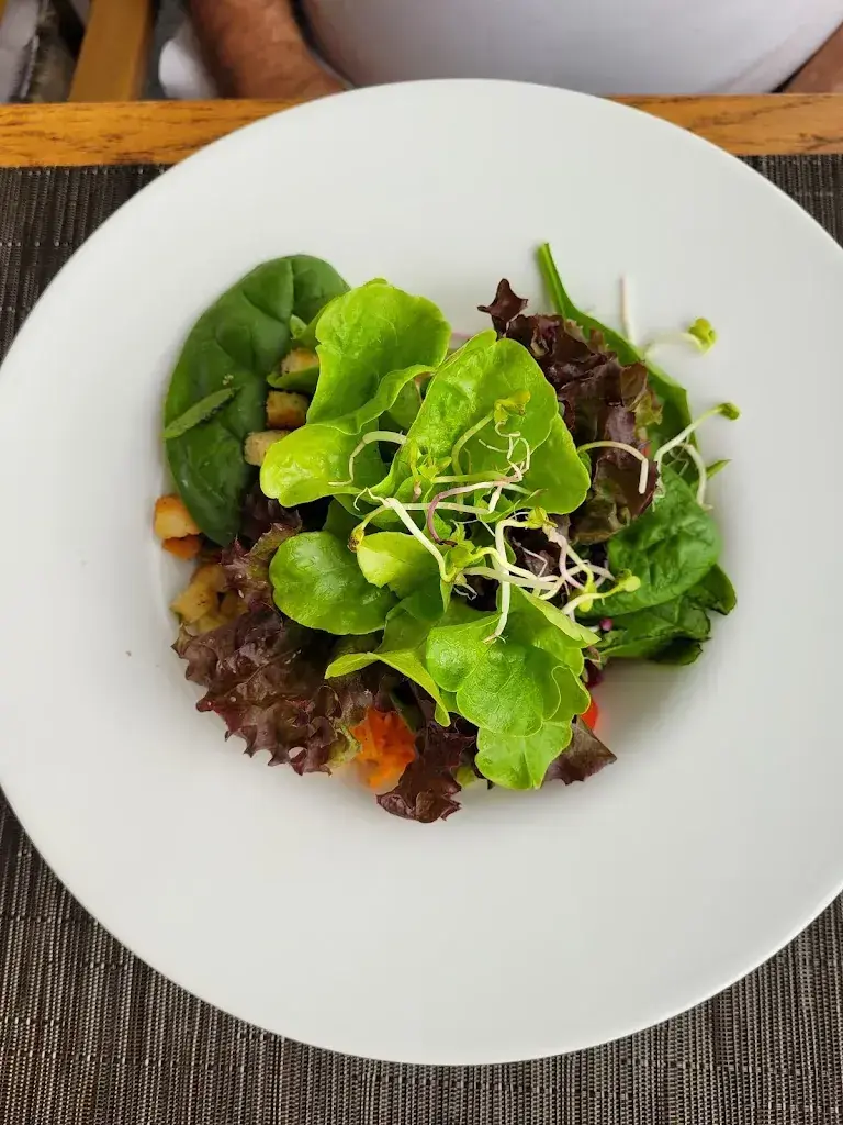 Menü_Oase - Restaurant beim Golfpark_Oberkirch_Bild_8