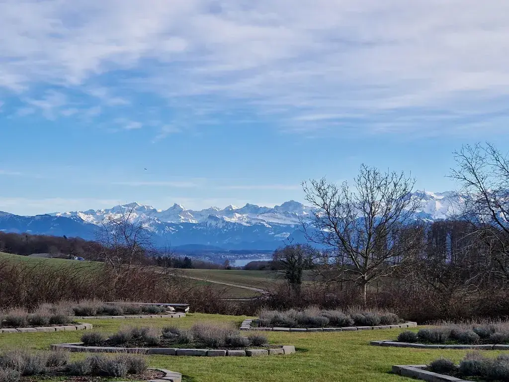 Duliduli Buuzali_Herzberg Uffikon_Dagmersellen_recensione