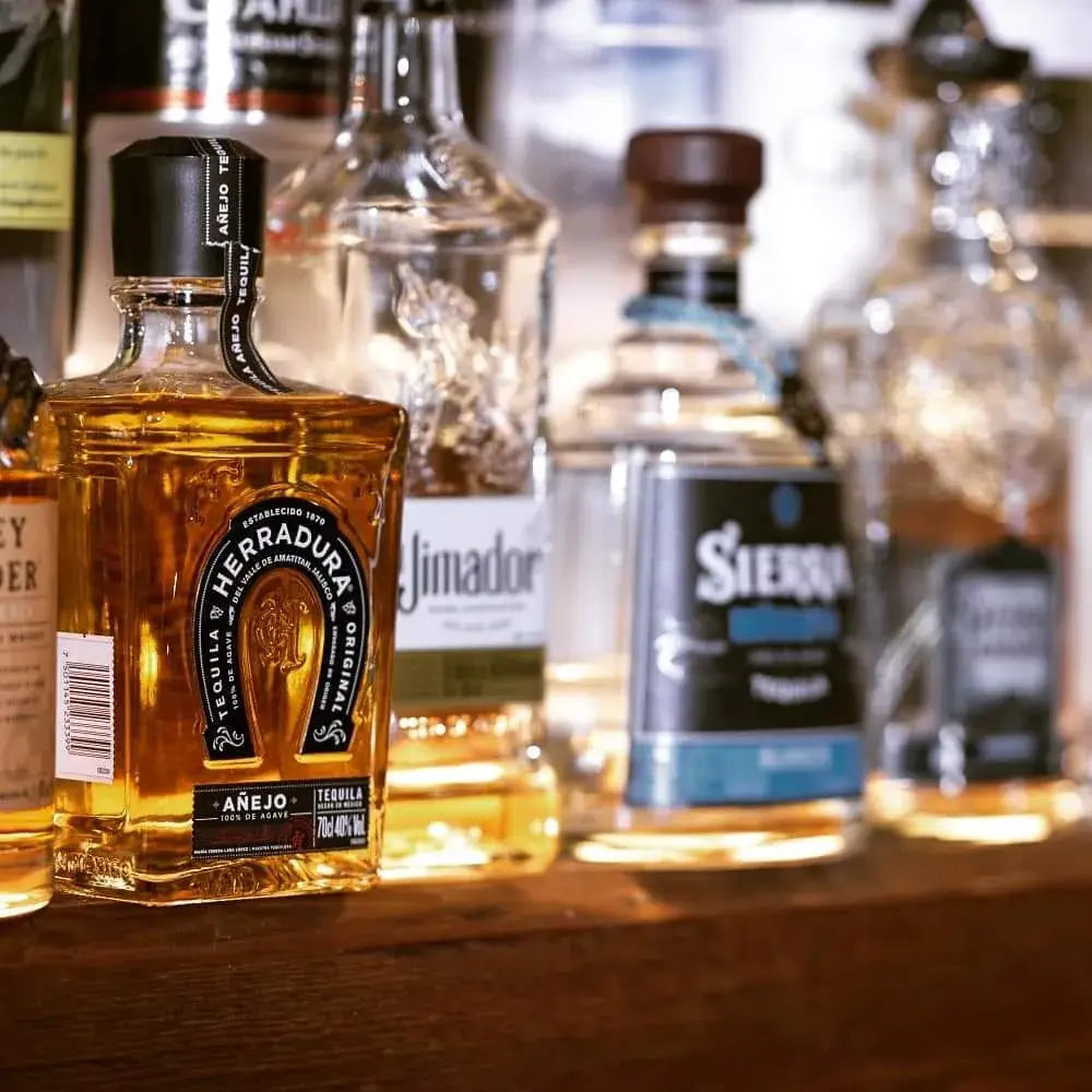 Menu_City Café & Lounge_Willisau_image_5