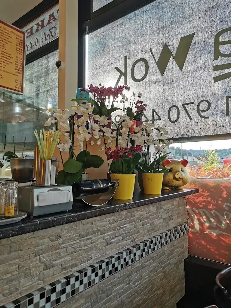 Patrick Michel Roth_Asia Wok_Willisau_review