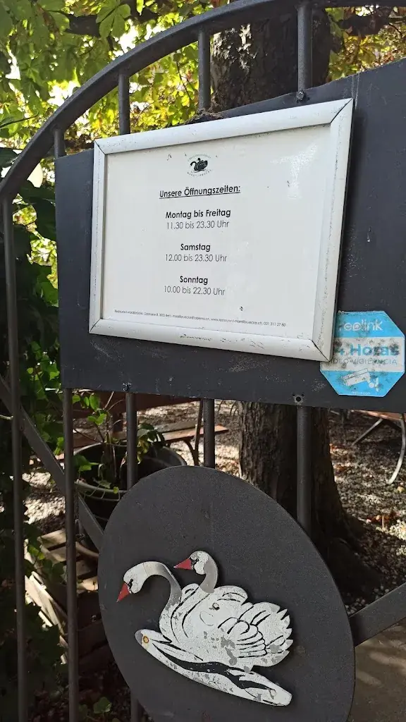 Olha Faryma_Marzilibrücke_Bern_avis