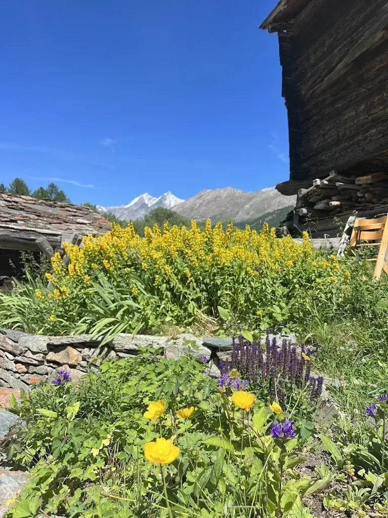 Pantharin Intapan_Restaurant Zum See_Zermatt_recensione