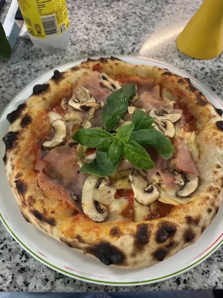 Aryan Baghi_Pizzeria Negrini's_Altdorf_Bewertung