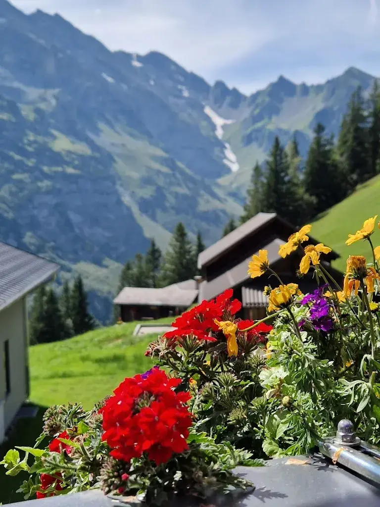 Sarah Martinez_Alp Catrina_Attinghausen_Bewertung