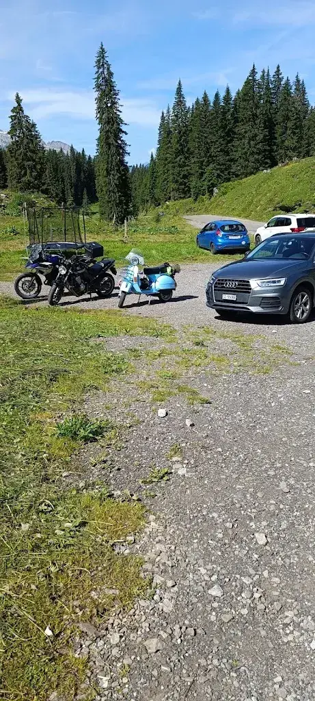 Jimmy Hostettler_Alpwirtschaft Roggenloch_Muotathal_avis