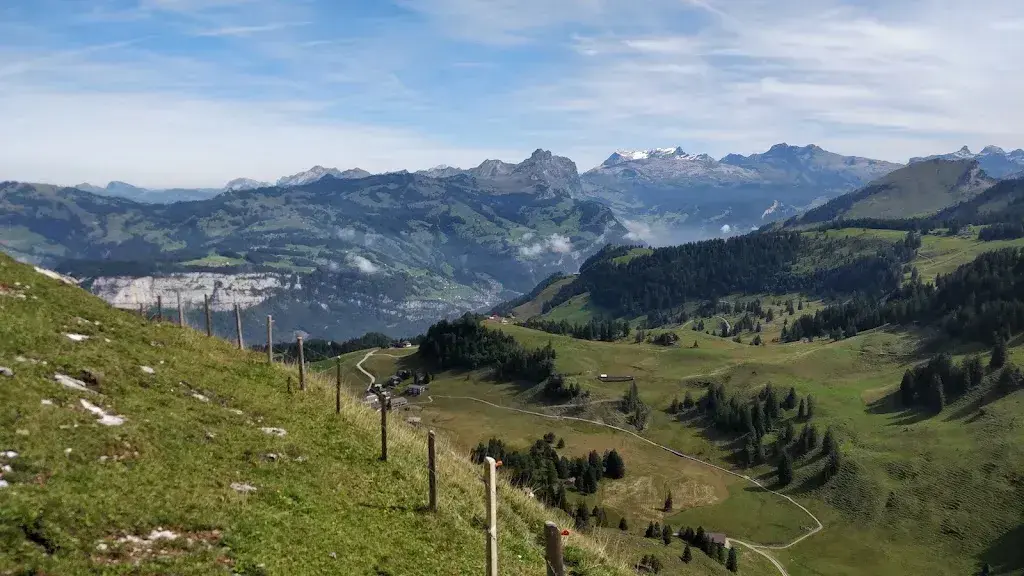 Bulent Havur_Alpwirtschaft Laui_Stoos_review