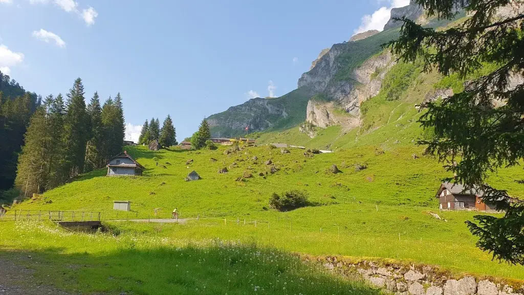 Ruedy Ascheanden_Alpkäserei Lipplisbüel_Muotathal_Bewertung