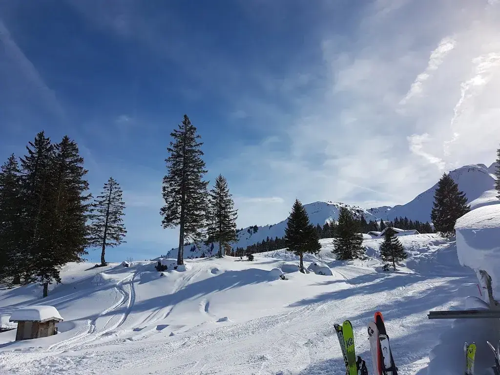 Karin Williams_Waldhüttli_Stoos_review