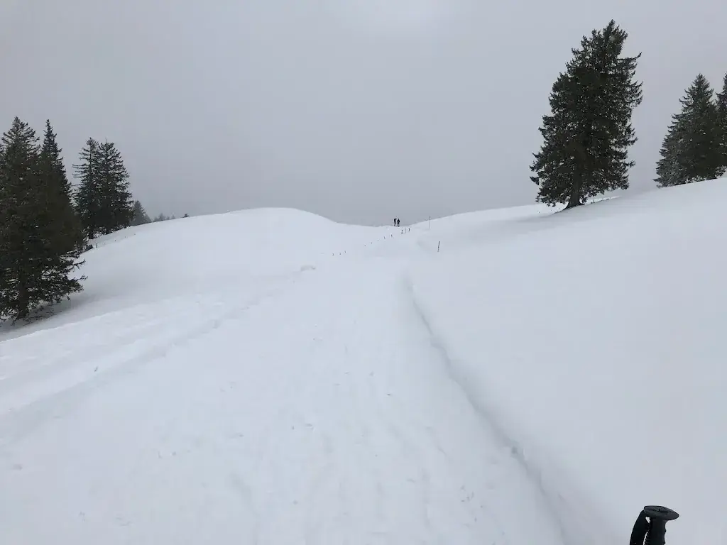 Christian Wetter_Waldhüttli_Stoos_review