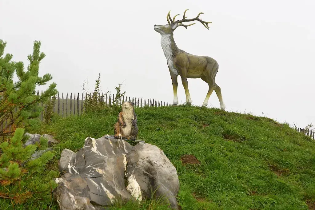 Reto Keller_Berglodge Restaurant Ristis_Engelberg_review