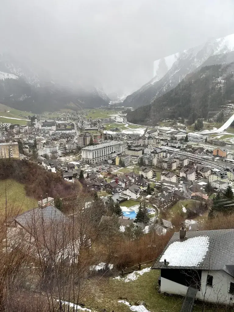 Brij Singh_Siam Thai Cuisine Restaurant_Engelberg_review