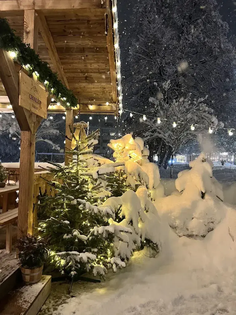 Schiva Yazdanpanah_Chalet Ruinart_Engelberg_reseña