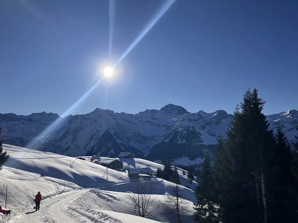 Andrew Winearls_Alphotel Biel-Kinzig_Bürglen_avis