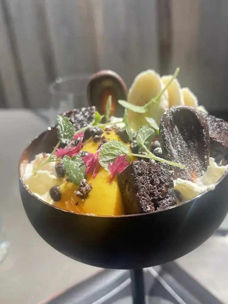 Kavita Parmar_The Japanese at Gütsch on 2400 m_Andermatt_review