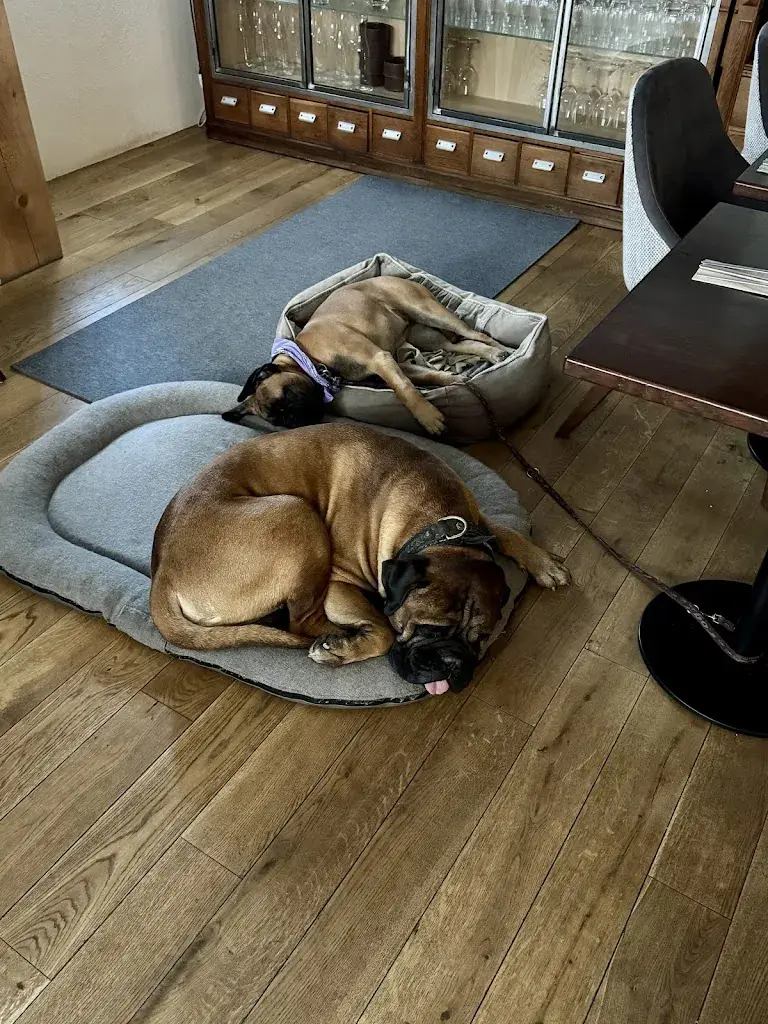 Dean Heizer_Boutique Hotel The River House_Andermatt_avis